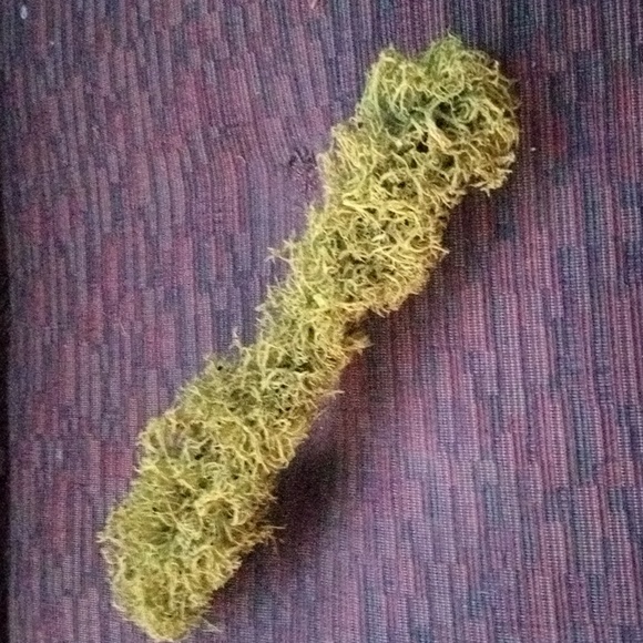 New! Never Used! Moss Branches. 11 Inches Long - Picture 4 of 6